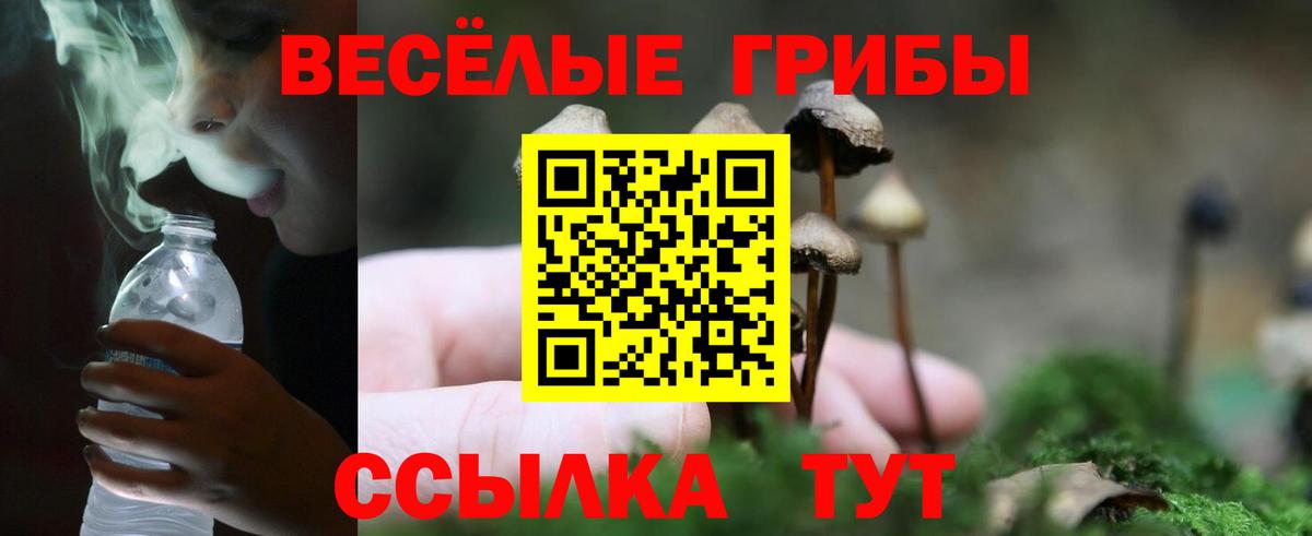 Галлюциногенные грибы прущие грибы Луховицы